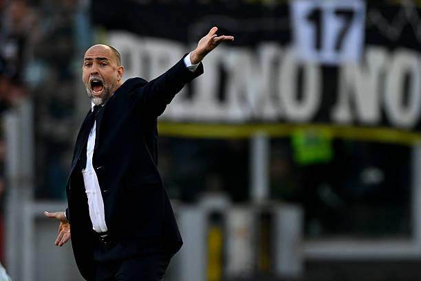 1746925121773047766.jpg 2213777835-612x612.jpg